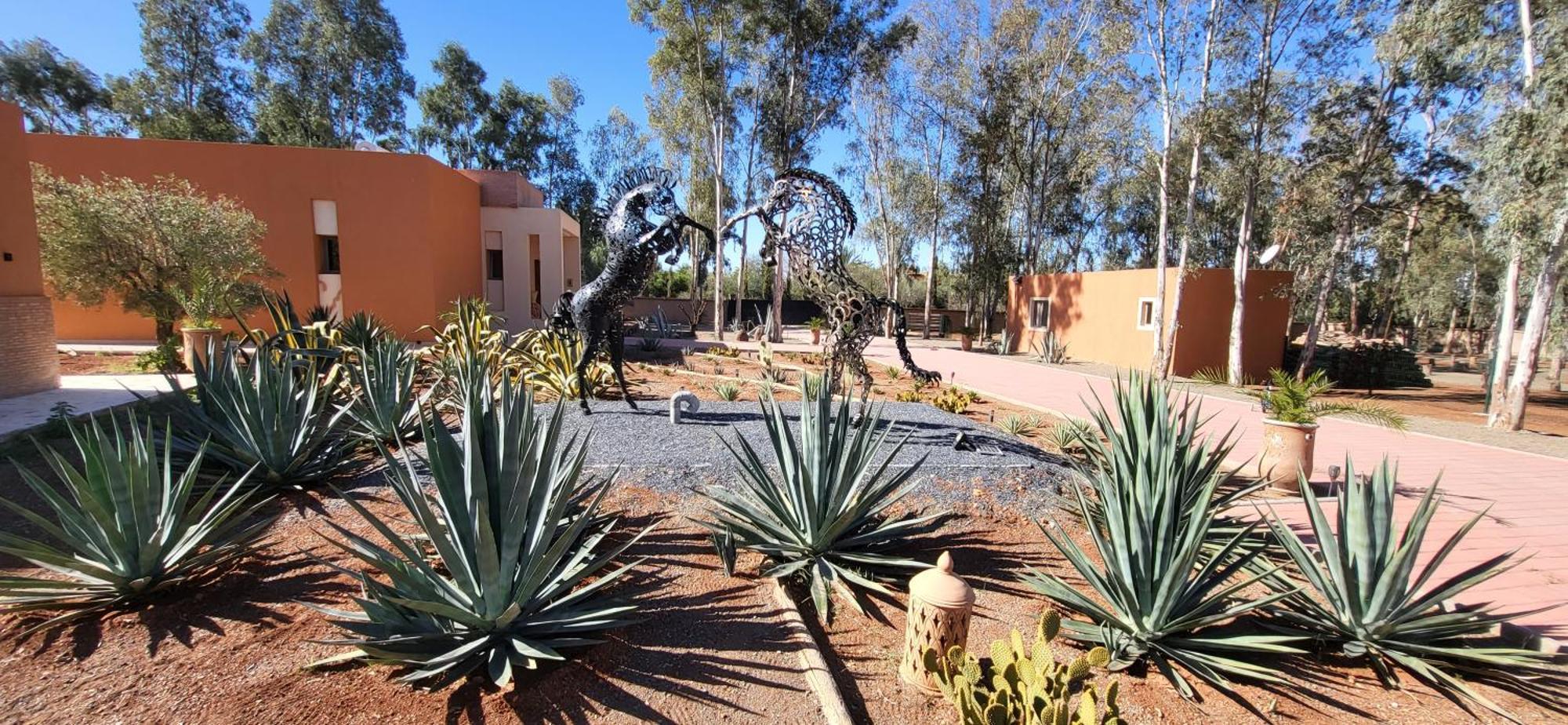 Le Jardin De Jeanne Villa Marakeş Dış mekan fotoğraf